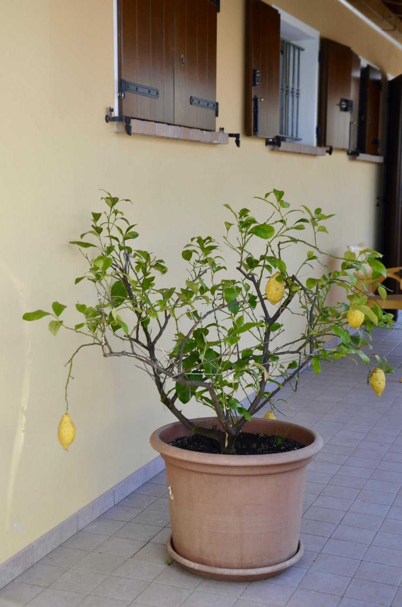A Casa Di Amici Villa Vidor Luaran gambar